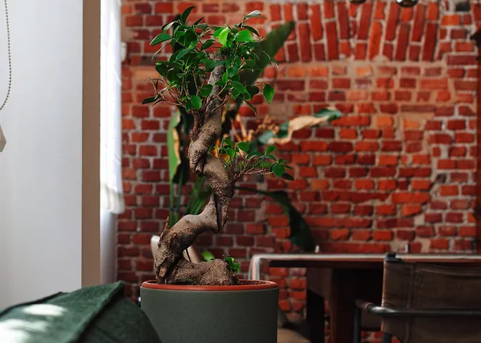 Apartment Luxury Loft Navigli Milan